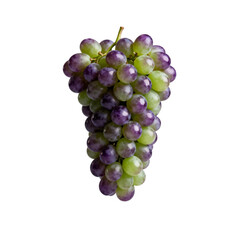 Fototapeta premium [Transparent Background PNG]Bunch of fresh purple and green grapes for healthy eating