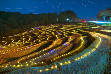 大山千枚田のライトアップ