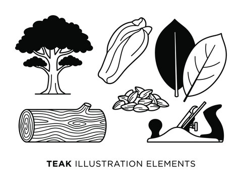 Teak Tree, Wood, Seeds, Leaves, and Plane Illustration Elements in Black and White Outline