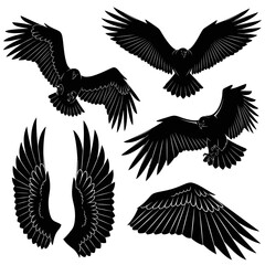 Majestic Eagle Silhouettes in Flight and Wing Designs.
