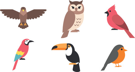 Variety of colorful birds