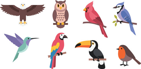 Assorted birds perched and flying