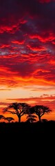Fototapeta premium Vibrant sunset paints the African sky in fiery hues over silhouetted acacia trees, creating a breathtaking natural panorama, acacia, wilderness