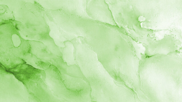 Abstract green marble texture Vector, illustration