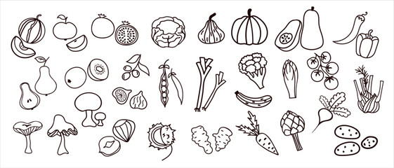 Vector Set of hand drawn fruits and vegetables line art icons. Black outline food illustration set, perfect for healthy eating, organic market, packaging, and kitchen design.
