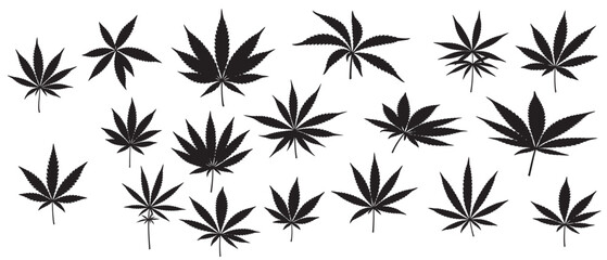 weed leaf silhouette white background © Zooh