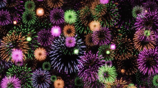  Dynamic fireworks animation composed of layered modern circles and arcs