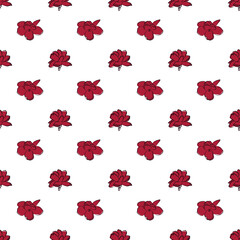 Obraz premium Jasmine floral vector seamless pattern on white background. hand drawn red rose stylized flower, blossom, petals. seamless red flowers