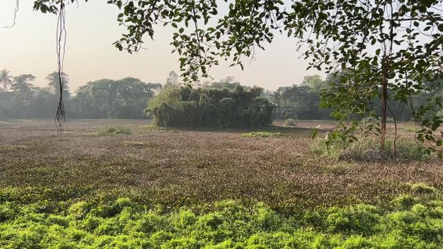 Jalhari or Jal Mahal at Narajole of Paschim Medinipur, WB