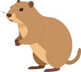 beaver vector illustration