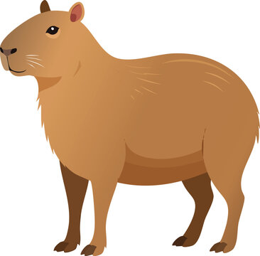 cartoon illustration of a capybar
