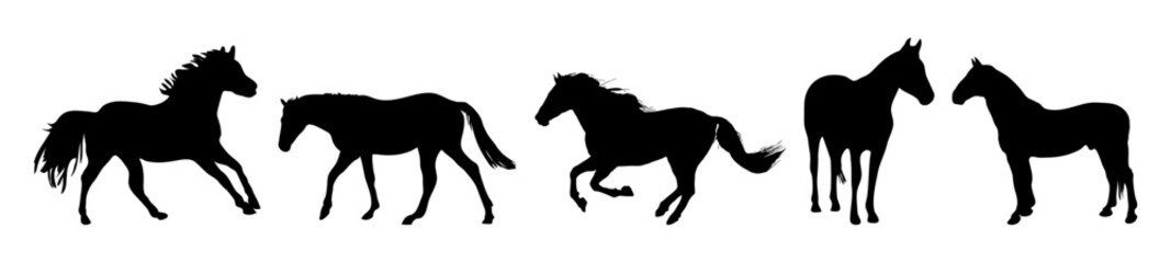 animal horse silhouette