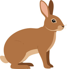 vector illustration of a rabbit