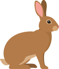 vector illustration of a rabbit