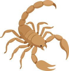 scorpion vector illustration