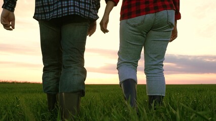 Man and woman agronomist going on green wheat sunset field back view closeup. Couple farmer agricultural workers walking together at natural organic plant harvest grass plantation cinematic sky