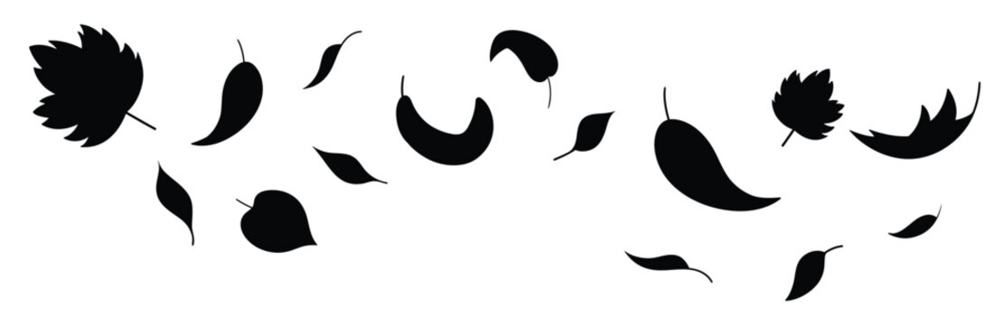 Leaves fall silhouette in simple style, vector illustration. Wave cold air during windy weather. Maple leaf for print and design. Isolated black elements on white background. Autumn symbol nature