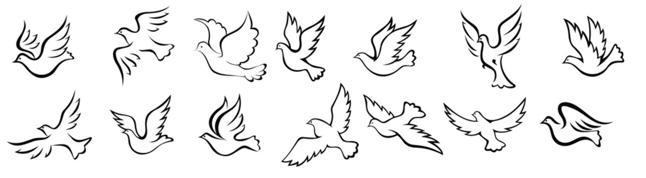  outline graceful dove and pigeon birds