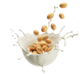 soybeans with milk splash on white background.