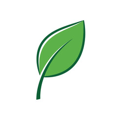 Single Green Leaf with Dark Green Outline on White Background.