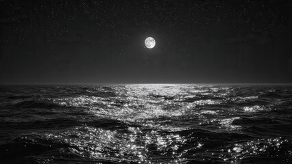 Serene Full Moon Reflecting on Calm Ocean Waves at Night in Black and White Scenic Photography