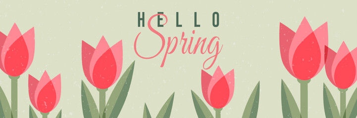 Hello Spring vector banner with cute pink tulips on soft green background. Fresh floral botanical illustration for seasonal posters, web headers, backgrounds, greeting designs and spring promotions. © Iryna Prokopovych 