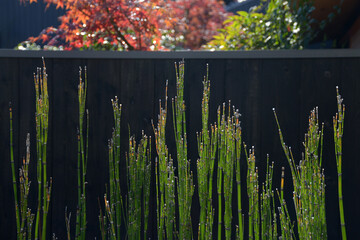 街角の風景　スケッチ写真