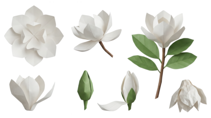 Origami White Magnolia Flower Collection on White Background