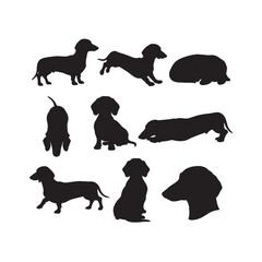 Dachshund Silhouettes Collection,Dachshund Silhouettes,Vector Dachshund Silhouettes,Dog Breed Silhouettes,dachshund vector