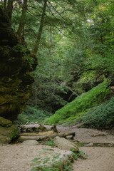 Shaded forest trail with rocks and logs at Turkey Run Park