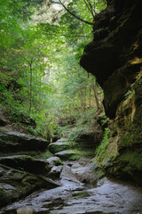 Rocky canyon path with moss and trees at Turkey Run State Park