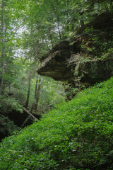Lush greenery and cliffs along trail at Turkey Run State Park