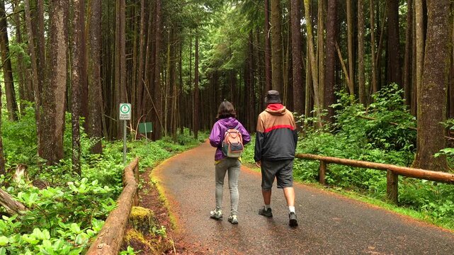 Backpack wearing tourists navigating narrow paved trail through dense temperate rainforest on vancouver island, surrounded by towering trees and vibrant green vegetation