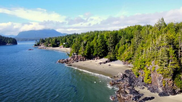 Tranquil turquoise waters gently caress the sandy shores of tofino, vancouver island, where a dense emerald forest blankets the coastline, creating a picturesque summer scene