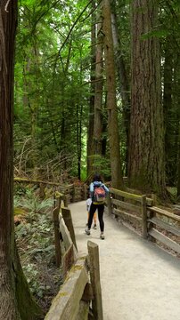 Mother and child walking away from camera on a gravel path through a forest of giant trees in cathedral grove nature park on vancouver island, british columbia, canada