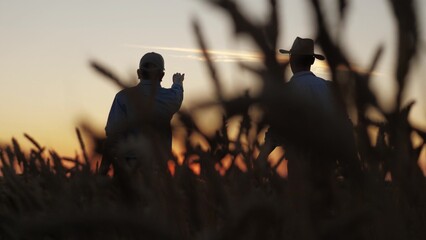 Two farmers celebrate wheat field, Golden sunset over bountiful harvest, Joyful farmer raising arm triumph, Wheat fields stretch horizon, Evening glow enhances rural scene, Successful harvest brings