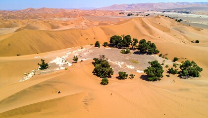 Aerial view of desert dunes with trees nestled amid sand hills under a clear blue sky on a bright, sunny day