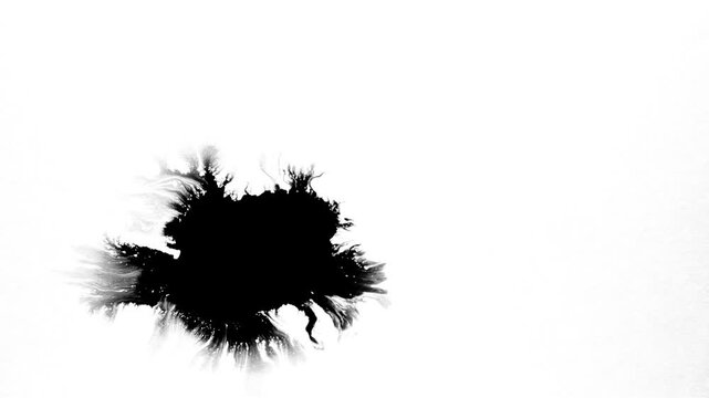 A stark black ink blotch with fine, spidery tendrils spreading outwards on a clean white background.