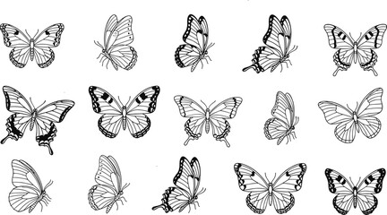 Butterfly line art vector collection, detailed insect wing illustrations, black and white nature designs, decorative outline butterflies isolated on white background
