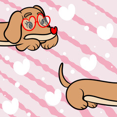 Cute Dachshund Valentine Background