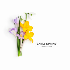 Flower arrangement with crocuses and snowdrops