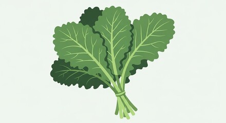 Naklejka premium bunch of green parsley