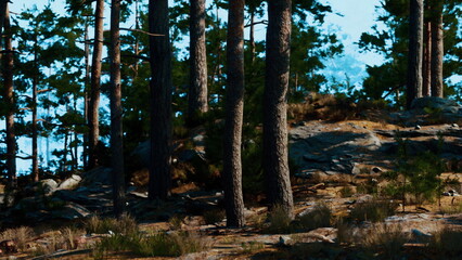 Tall trees stand proudly in a peaceful forest, their leaves rustling gently. Sunlight filters through branches, casting playful shadows on the rocky terrain. A sense of calm fills the air.