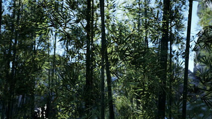 Sunlight filters through a lush bamboo forest, creating a vibrant scene filled with greenery. The tall bamboo stalks sway gently in the breeze, offering a peaceful atmosphere.