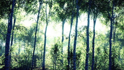 Morning light streams through vibrant green trees in a serene forest. The atmosphere is calm and refreshing, inviting a sense of tranquility among the lush foliage.