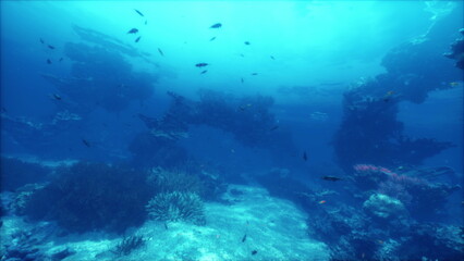 Explore a vibrant underwater scene where schools of fish gracefully swim among coral reefs. A mysterious sunken structure adds intrigue to this serene marine landscape.