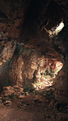 Wander through a captivating cave filled with textured rock formations and green plants. The soft light from above highlights the hidden beauty, creating a magical atmosphere.