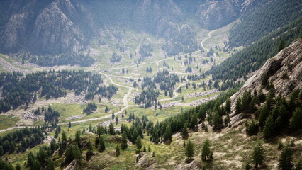 Fototapeta premium A breathtaking valley unfolds beneath towering mountains, dotted with dense forests and winding trails. The landscape is vibrant and inviting, showcasing natures beauty in every direction.