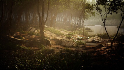 Obraz premium Gentle light dances through the trees, illuminating a peaceful forest scene. A calm lake reflects the surrounding nature, inviting tranquility and reflection among the rocks and greenery.