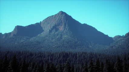 Obraz premium A majestic mountain peak towers over a dense forest of evergreen trees under a clear blue sky. The sunlight illuminates the rocky summit, creating a breathtaking scene.